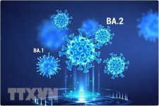 Thế giới tìm kiếm cách thức mới để thay đổi vaccine chống các biến thể của virus SARS-CoV-2