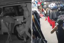 Queensland: Cảnh sát truy nã ba người đàn ông cướp xe và cửa hàng thể thao