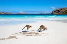 Báo động về tình trạng nước biển xâm lấn các cồn cát ở Nam Úc