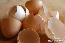 Vỏ trứng được dùng làm thuốc chữa bệnh tại nhà an toàn và hiệu quả, bạn đã từng nghe?
