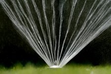California phạt tới 10.000 USD đối với người lãng phí nước
