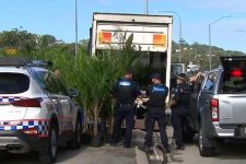 Queensland: Cảnh sát phát hiện 136kg cần sa trong thùng xe tải