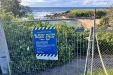 Sydney: Bãi biển Little Bay Beach đóng cửa để nâng cấp