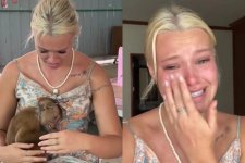 Cô gái Úc khóc nấc khi đi xem xiếc khỉ ở Phuket