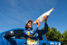 Vùng lãnh thổ Bắc Úc: Câu được con cá chẽm trị giá một triệu đô