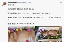 Chú chó bán khoai nổi tiếng Nhật Bản qua đời