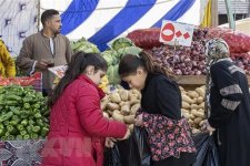 Italy kêu gọi thế giới chung tay ứng phó khủng hoảng lương thực