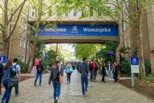 Giáo dục: Đại học Melbourne tăng bốn bậc trong bảng xếp hạng các trường đại học trên thế giới