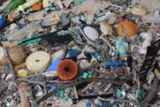 Tin Úc: Các bãi biển của Úc đã giảm bớt 1/3 lượng rác thải nhựa