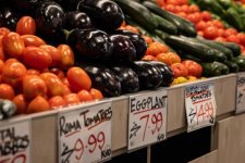 Tin Úc: Chính phủ Úc cần phải có biện pháp ứng phó khi giá lương thực tăng cao