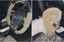 Sydney: Xe Audi bị mốc trắng sau 3 tuần không sử dụng