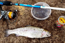 Victoria: Người dân sẽ được câu cá thỏa thích tại 80 hồ nước trên khắp tiểu bang