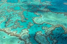Tin Úc: UNESCO gia hạn thêm 8 tháng để nâng cao bảo vệ rạn san hô Great Barrier