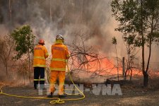 Nguy cơ cháy rừng thường xuyên và nguy hiểm hơn tại Úc