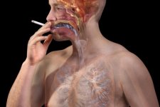 Người hút thuốc lá có nguy cơ tử vong cao gấp đôi khi mắc COVID-19
