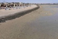 2 nữ du khách t‌ử von‌g vì bị cá mập cắn ở Ai Cập