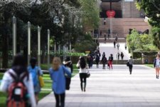 Giáo dục: Số lượng sinh viên học đại học ở các ngành được ưu tiên tại Victoria sụt giảm