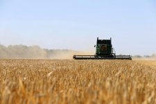 Nga - Ukraine đạt thỏa thuận xuất khẩu ngũ cốc ở Biển Đen