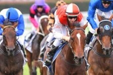 Victoria: Ngành công nghiệp đua ngựa mang lại sự thúc đẩy rất lớn cho nền kinh tế