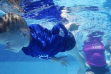 Giáo dục: Victoria đào tạo kỹ năng giảng dạy môn bơi lội cho giáo viên trẻ tuổi