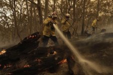 Tin Úc: Cảnh báo về nguy cơ cháy rừng vào mùa hè
