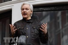 Vụ án của Julian Assange đã kéo dài quá lâu