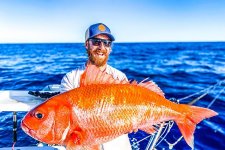 Bắt được “cá vàng quý hiếm” nặng 10 kg