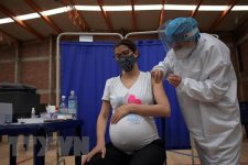 Chính phủ Mỹ kêu gọi thai phụ tiêm vaccine COVID-19