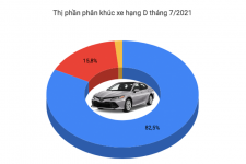 Thị phần phân khúc xe hạng D tháng 7/2021