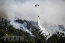 Tây Ban Nha chật vật khống chế cháy rừng