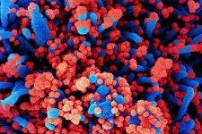 Trung Quốc phát triển vật liệu nano có khả năng chống virus SARS-CoV-2 và các biến thể