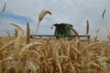 Nga - Trung tích cực đối thoại về việc cung cấp ngũ cốc