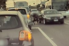 St Albans: Truy nã người tài xế lái xe hơi gây tai nạn rồi bỏ trốn