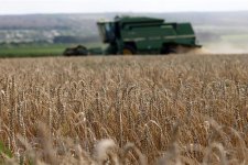 Latvia sẵn sàng vận chuyển ngũ cốc cho Ukraine
