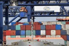 ACCC điều tra tình trạng chi phí vận chuyển và container tăng vọt