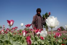 Ấn Độ thu giữ số lượng lớn heroin từ Afghanistan