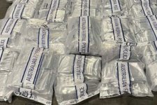 ABF tịch thu hơn 200kg ma túy giấu trong lô hàng hạt cà phê