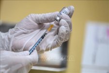 TGA phê duyệt vaccine Pfizer tiêm mũi tăng cường cho trẻ em từ 5 - 11 tuổi