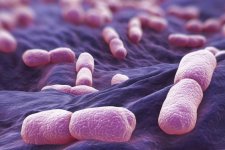 Tin Úc: Giới chức y tế mở cuộc điều tra về các ca nhiễm khuẩn listeria monocytogenes