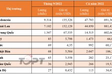 Lượng ô tô nhập khẩu về Việt Nam trong tháng 9/2022