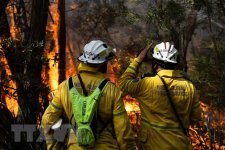 Mùa cháy rừng tồi tệ nhất kể từ năm 2019