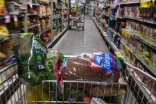 Tin Úc: Người Úc đang lãng phí gần 20 tỷ đô la mỗi năm khi vứt bỏ các loại thực phẩm