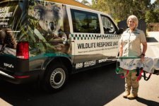 Victoria: Động vật hoang dã bị thương sẽ được chăm sóc ngay lập tức