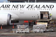 Air New Zealand hủy cả ngàn chuyến bay đến và đi từ Úc