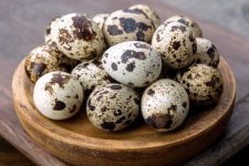 Trứng cút được ví như “nhân sâm trong động vật”, đừng thấy nhỏ mà chê