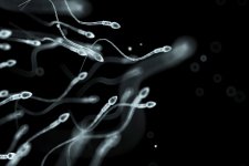 Melbourne: Tiến hành thử nghiệm đầu tiên trên thế giới về tránh thai cho nam giới