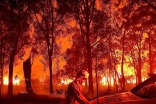 Tin Úc: Úc đang phải đối mặt với mùa cháy rừng kéo dài hơn