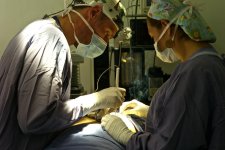 Tin Úc: Kiến nghị quản lý chặt chẽ hơn đối với các ca phẫu thuật thẩm mỹ