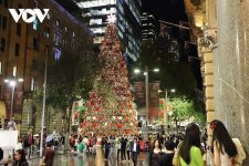 Cây thông Giáng Sinh lớn nhất Sydney được thắp sáng