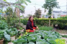 Đến thăm khu vườn đủ loại hoa, rau, trái của cô giáo Bắc Giang
